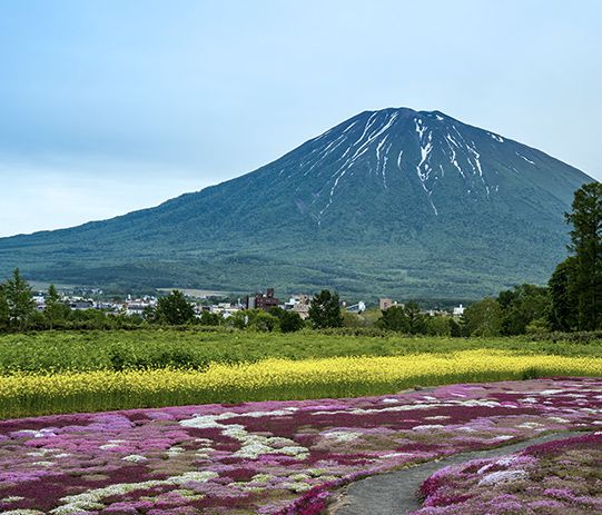 Ukiyo - Summer experience